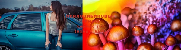 эйфоретик Навашино